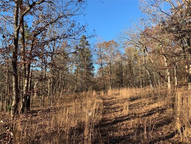 0 S27 T25 R4 unit 19084386, Poplar Bluff, MO 63901 - photo 7