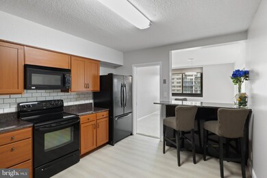 5501 Seminary Rd unit 1904S, Baileys Crossroads, VA 22041 - photo 3