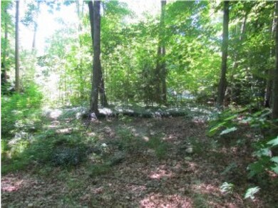 36 Pollard Rd, Lincoln, NH 03251 - photo 4