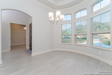 24027 Azul Dawn, San Antonio, TX 78261 - photo 5