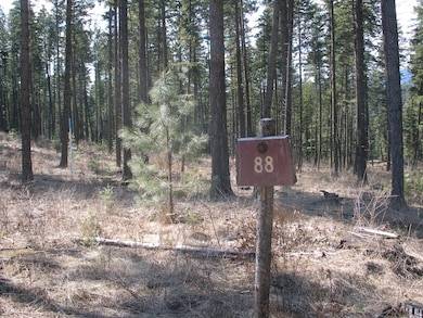 6339 S Cormorant Ct, Harrison, ID 83833 - photo 2