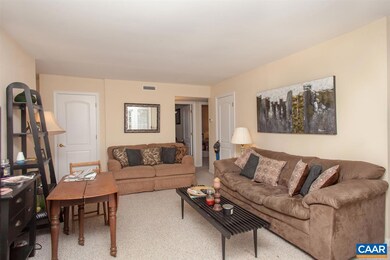 1363 Villa Way unit E, Charlottesville, VA 22903 - photo 6