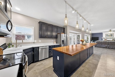 1456 Devonshire County Dr, Wentzville, MO 63385 - photo 3