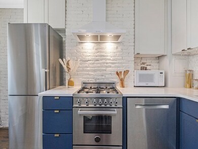 22 E Springfield St unit 3, Boston, MA 02118 - photo 5