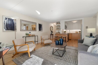 17 Healey St unit 101, Cambridge, MA 02138 - photo 5