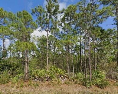 11490 3rd Ave, Punta Gorda, FL 33955 - photo 4