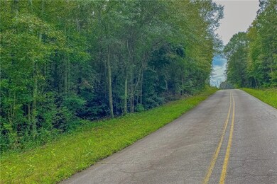 0 W Hendricks St, Bowman, GA 30624 - photo 2