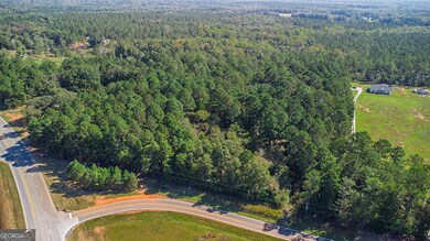 0 Rest Haven Rd unit 10652109, Yatesville, GA 31097 - photo 5