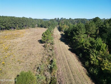 1844 Swamp Rd, Carthage, MS 39051 - photo 5