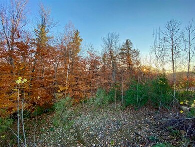 18 Highwoods Dr unit 18, Bartlett, NH 03845 - photo 2