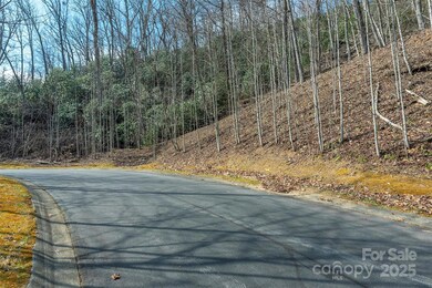 0 Shining Rock Path unit 12 CAR4241175, Horse Shoe, NC 28742 - photo 3