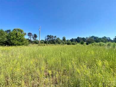 13 AC Deitz Rd, Statesville, NC 28625 - photo 7