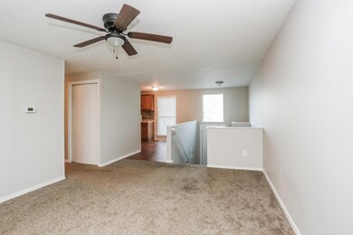 020-photo-no-caption-11959859