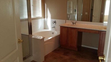 Tub and Shower in Master