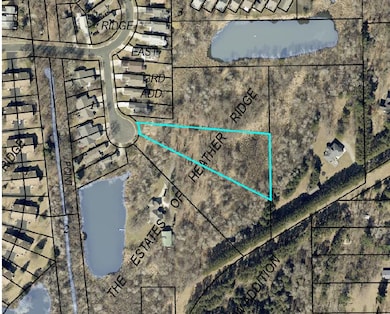 561X Heather Ridge Ct, Shoreview, MN 55126 - photo 2