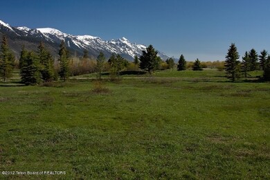 Teton View