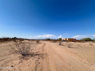 208xx W Desert Mirage (503-48-063-p) Dr unit n/a, Wittmann, AZ 85361 - photo 6