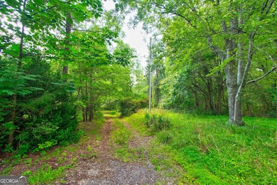 6439 S Chestatee, Dahlonega, GA 30533 - photo 6