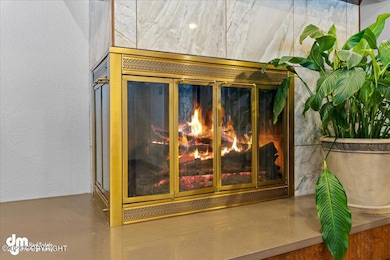 22-Sitting Room Fireplace_ELI00083