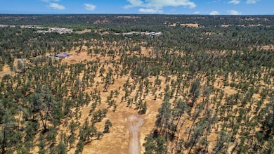 6-web-or-mls-DJI_0028