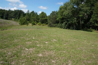 04) Two Acres of Land