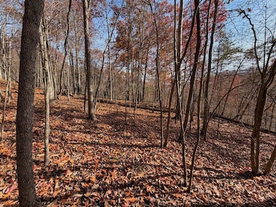 Threemile Creek Rd Lot unit Wp001, Louisa, KY 41230 - photo 6