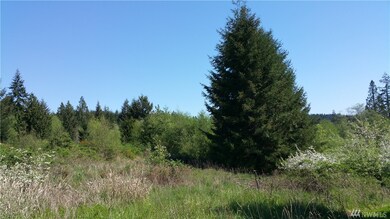 0 Holcomb Rd unit 928424, Napavine, WA 98532 - photo 4