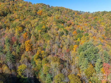 999 Cullisia Rd, Bryson City, NC 28713 - photo 3