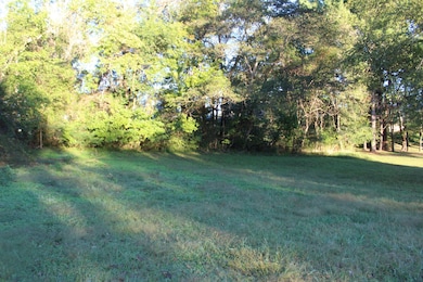 308 Dekalb St, McMinnville, TN 37110 - photo 3