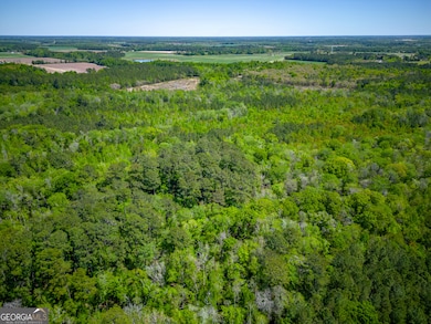 0 Ward Boyette Rd, Bristol, GA 31518 - photo 7