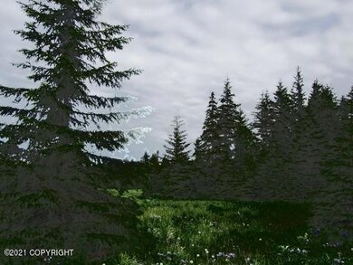 IMG_5226 (480x360)