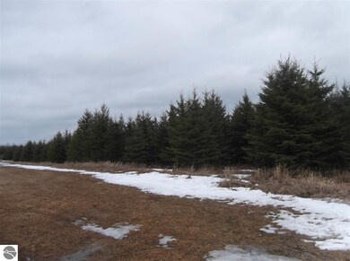 00 Galion Rd, Hale, MI 48739 - photo 6