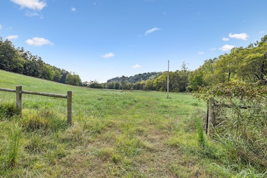 6 Young Rd, Pulaski, TN 38478 - photo 5