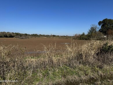 290 Cottage Ln, Church Point, LA 70525 - photo 4