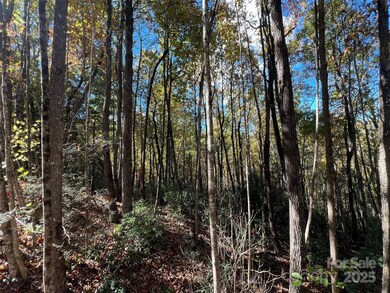 0 Wild Magnolia Way unit 46, Zirconia, NC 28790 - photo 4