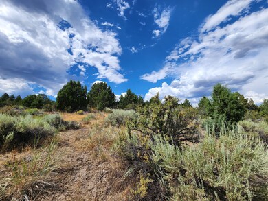 0 Drews Rd unit 25625857, Chiloquin, OR 97639 - photo 3