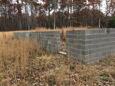 0 Wallace Way unit 1101334, Grimsley, TN 38565 - photo 3