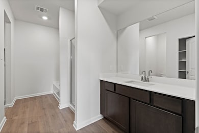 Bathroom featuring dark wood finished floors, a shower stall, and vanity