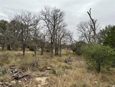 9455 County Road 189, Bangs, TX 76823 - photo 6