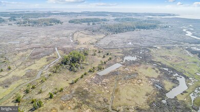 1806 Crocheron Rd, Toddville, MD 21672 - photo 5