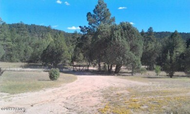 IMAG0325