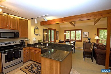 634 Pedlars Edge Dr, Wintergreen Resort, VA 22967 - photo 2