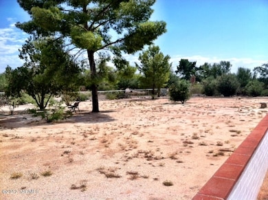 Photo7