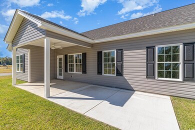 Back of property with a lawn, ceiling fan, and a p