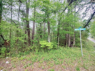 0 Mineral Springs Rd unit 560120, Lexington, SC 29072 - photo 2