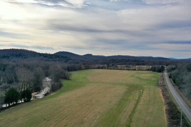 565 Cedar Creek Rd, Linden, TN 37096 - photo 4