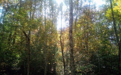 0 Gladstone Ct unit 301673, Ellijay, GA 30540 - photo 2