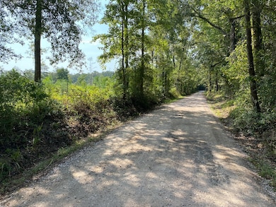 00 Mill Creek Rd, Huntington, TX 75949 - photo 2