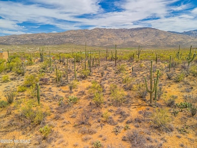 DJI_20250524100719_0757_D123