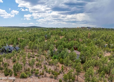 DJI_20250609124706_0470_D_AuroraHDR2019-